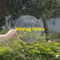 Dia 180mm negative focal length 130mm Pmma Material Round shape Fresnel Lens,Minifier For Decoration Or Exhibition